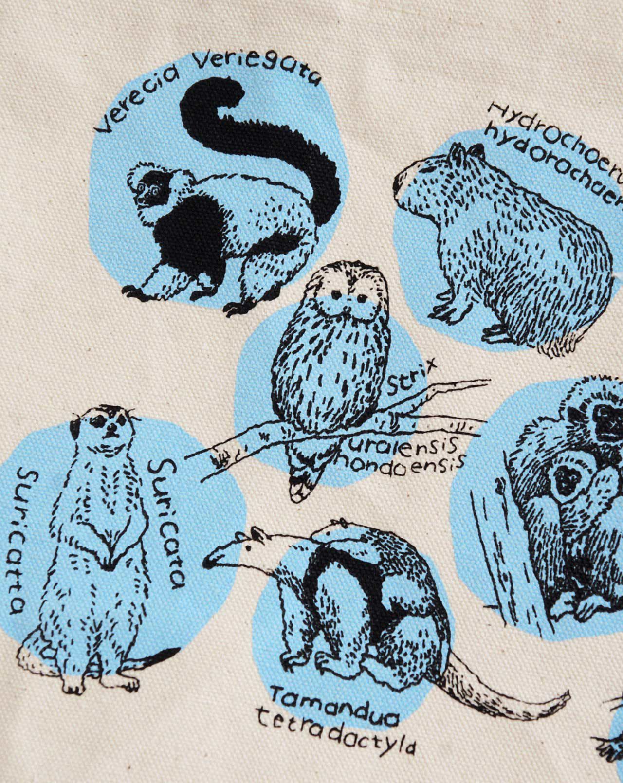 Detail
