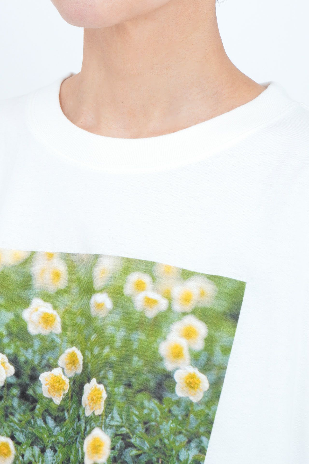 ☆photo alpine flower BIG TEE | marble SUD(マーブルシュッド