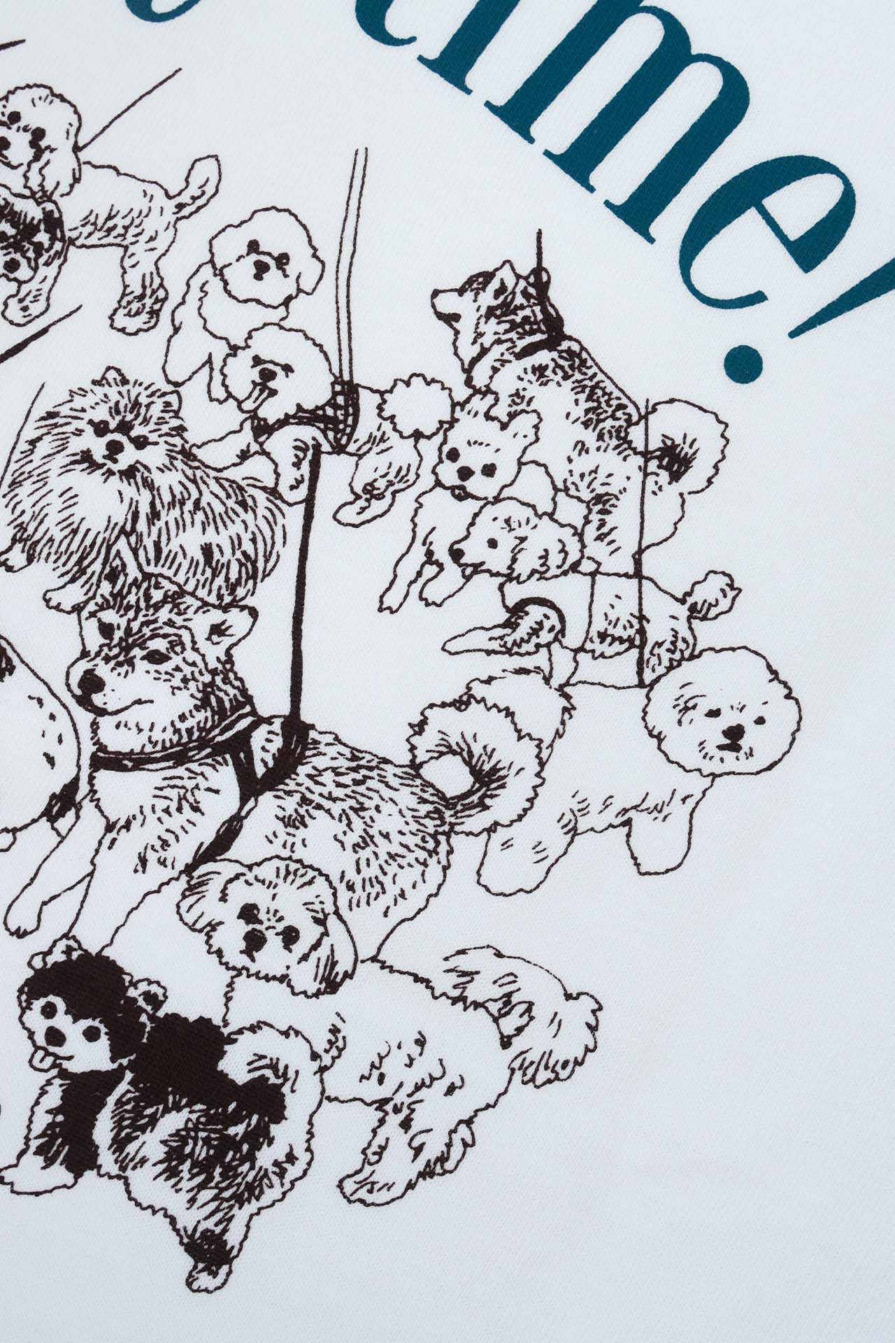 Detail(見本)