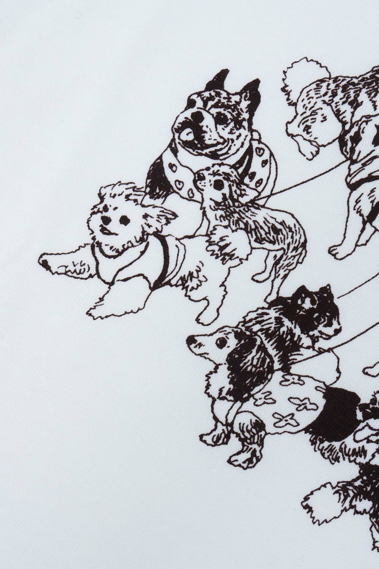 Detail(見本)