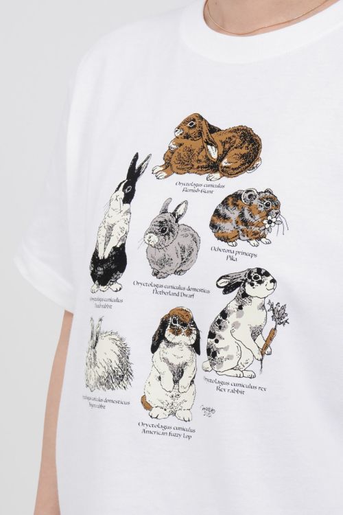 Tシャツ | marble SUD(マーブルシュッド)公式通販