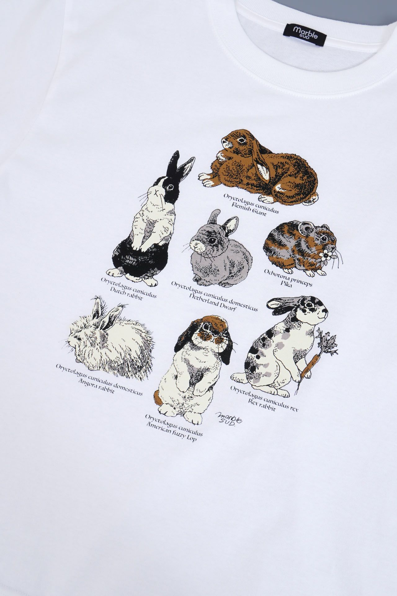 Zukan Rabbit S/S Tシャツ | marble SUD(マーブルシュッド)公式通販