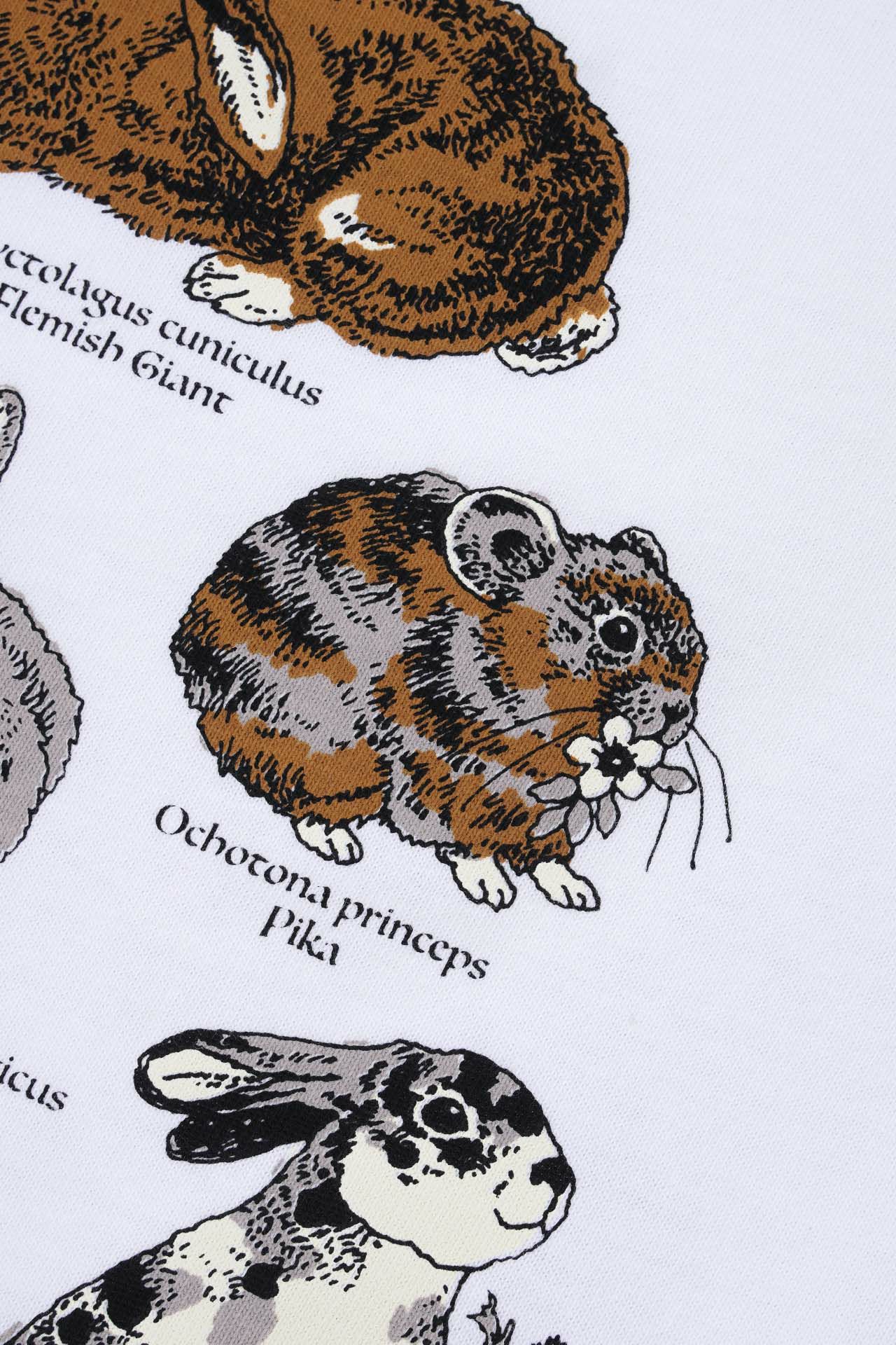 新品・:*marbleSUDウサギ刺繍入りグレー半袖トップス 野原を飛び跳ねる、うさぎたち。 | marble SUD マーブルシュッド