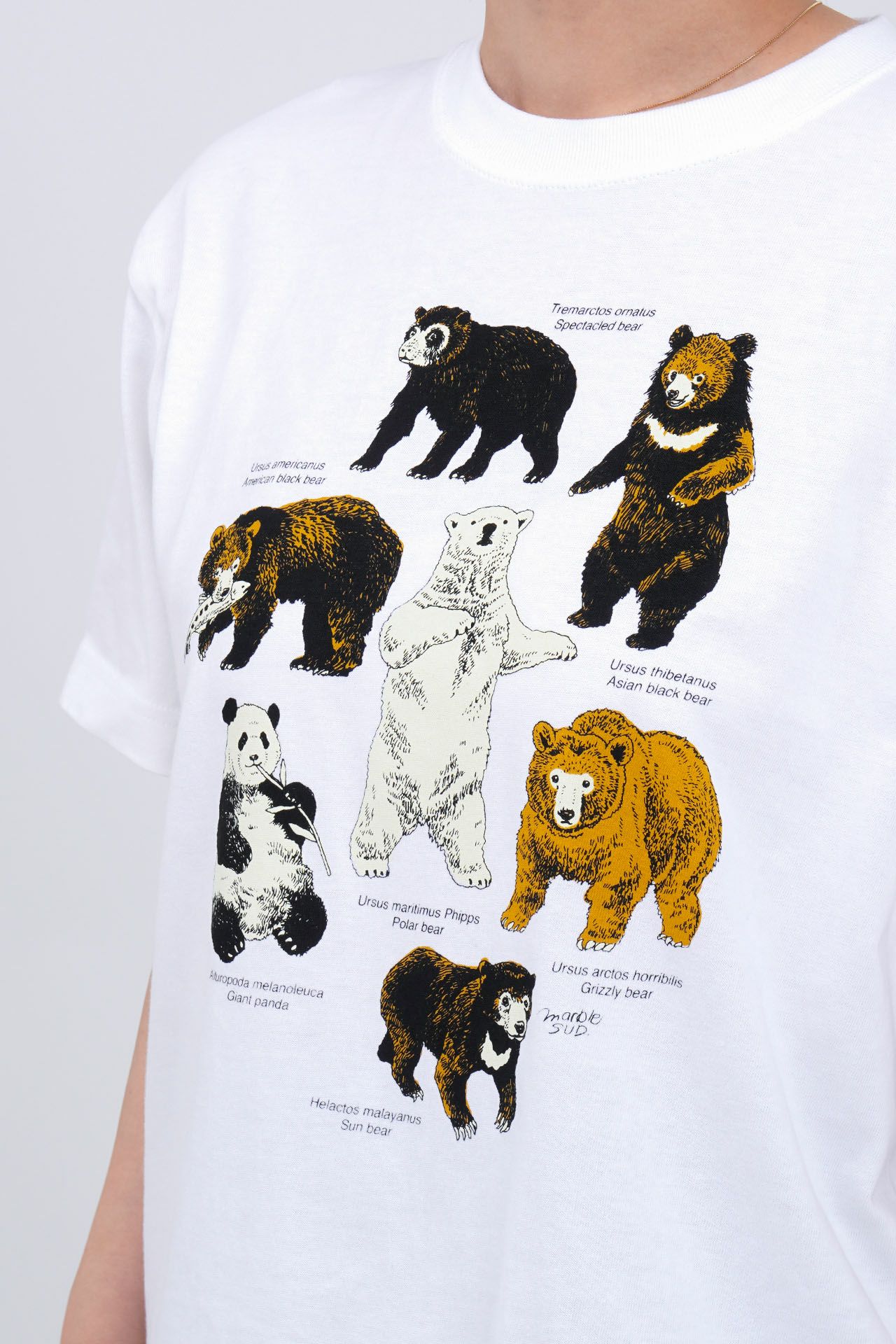 Zukan Bear S/S Tシャツ | marble SUD(マーブルシュッド)公式通販