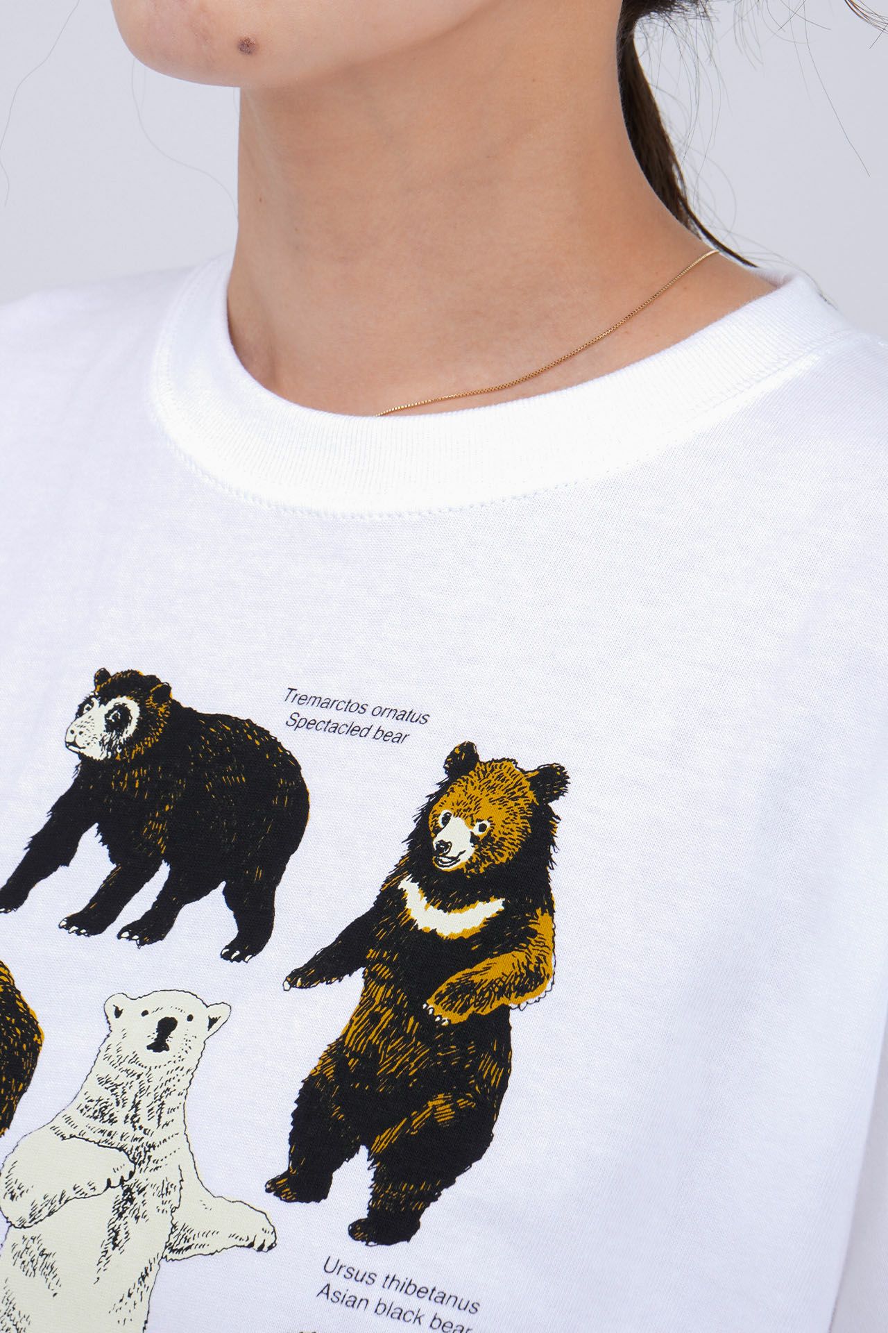 Zukan Bear S/S Tシャツ | marble SUD(マーブルシュッド)公式通販