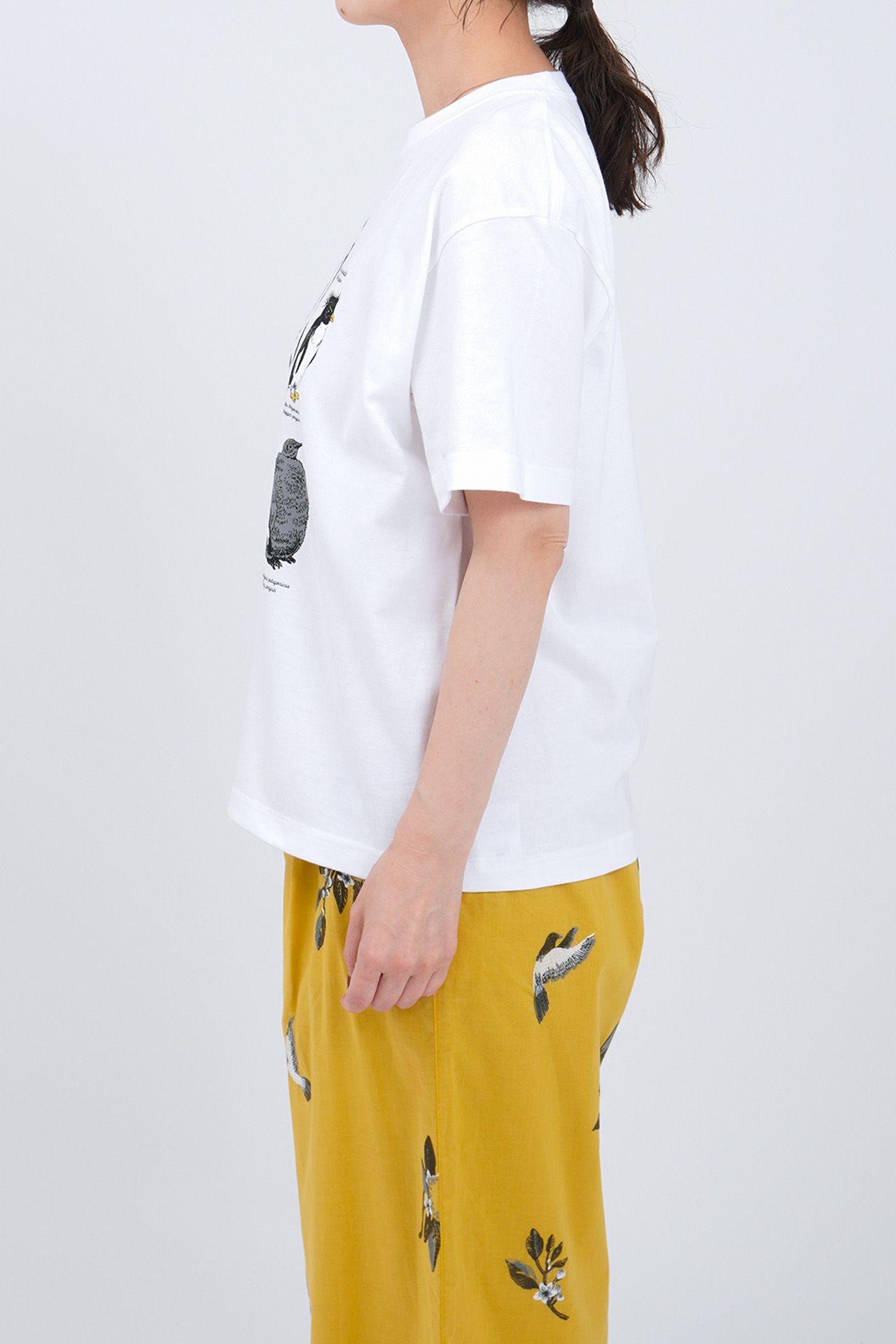 新品 バナナマン Tシャツ ンT S Zukan Penguin S/S Tシャツ | marble SUD(マーブルシュッド)公式通販