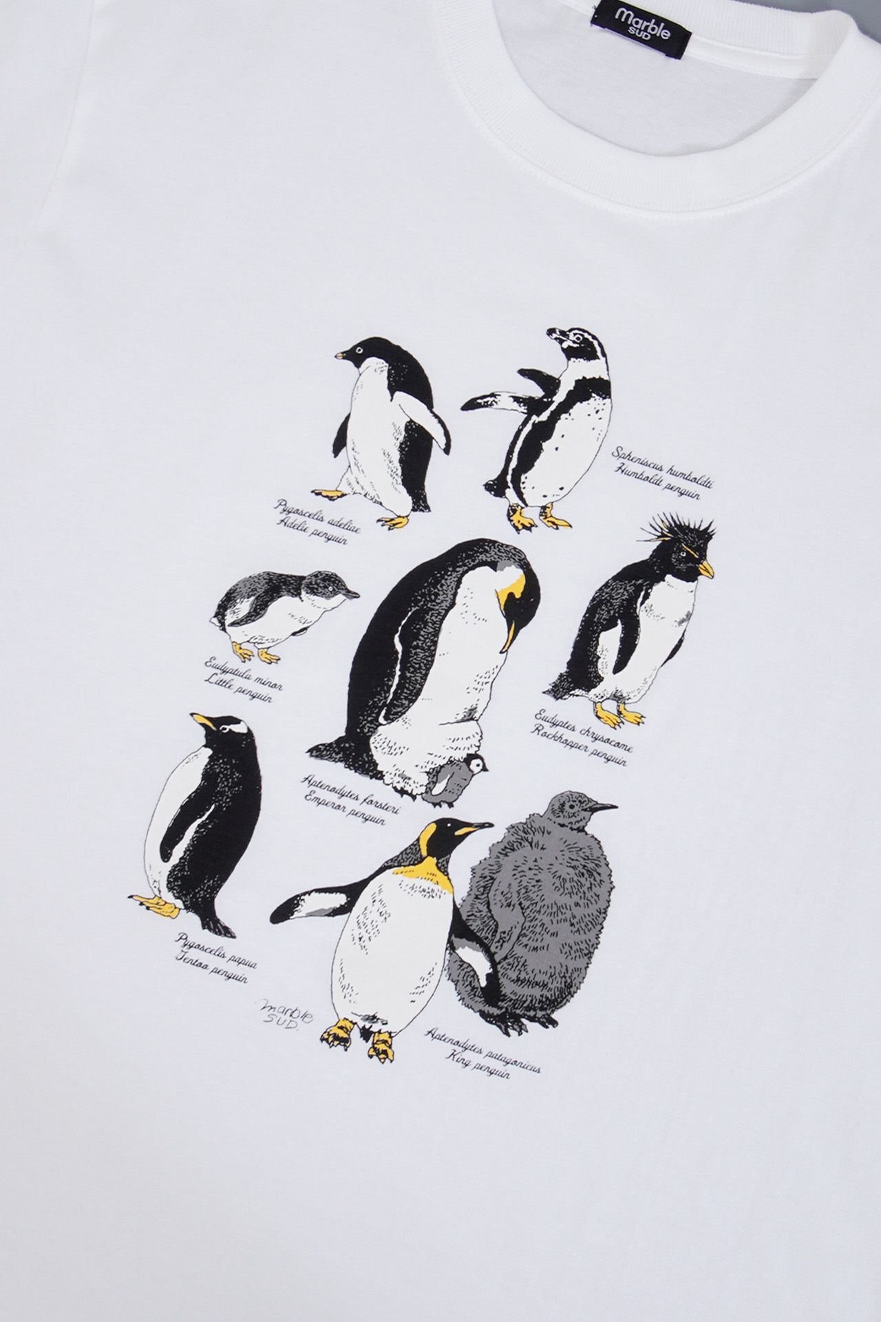 Zukan Penguin S/S Tシャツ | marble SUD(マーブルシュッド)公式通販