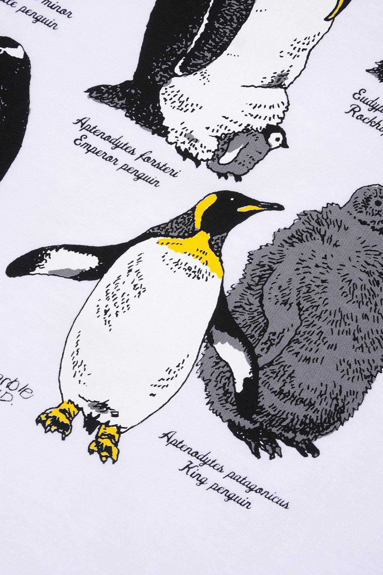 ペンギン 日本語版 AC01-JP045 The Great Emperor Penguin 大皇帝ペンギン