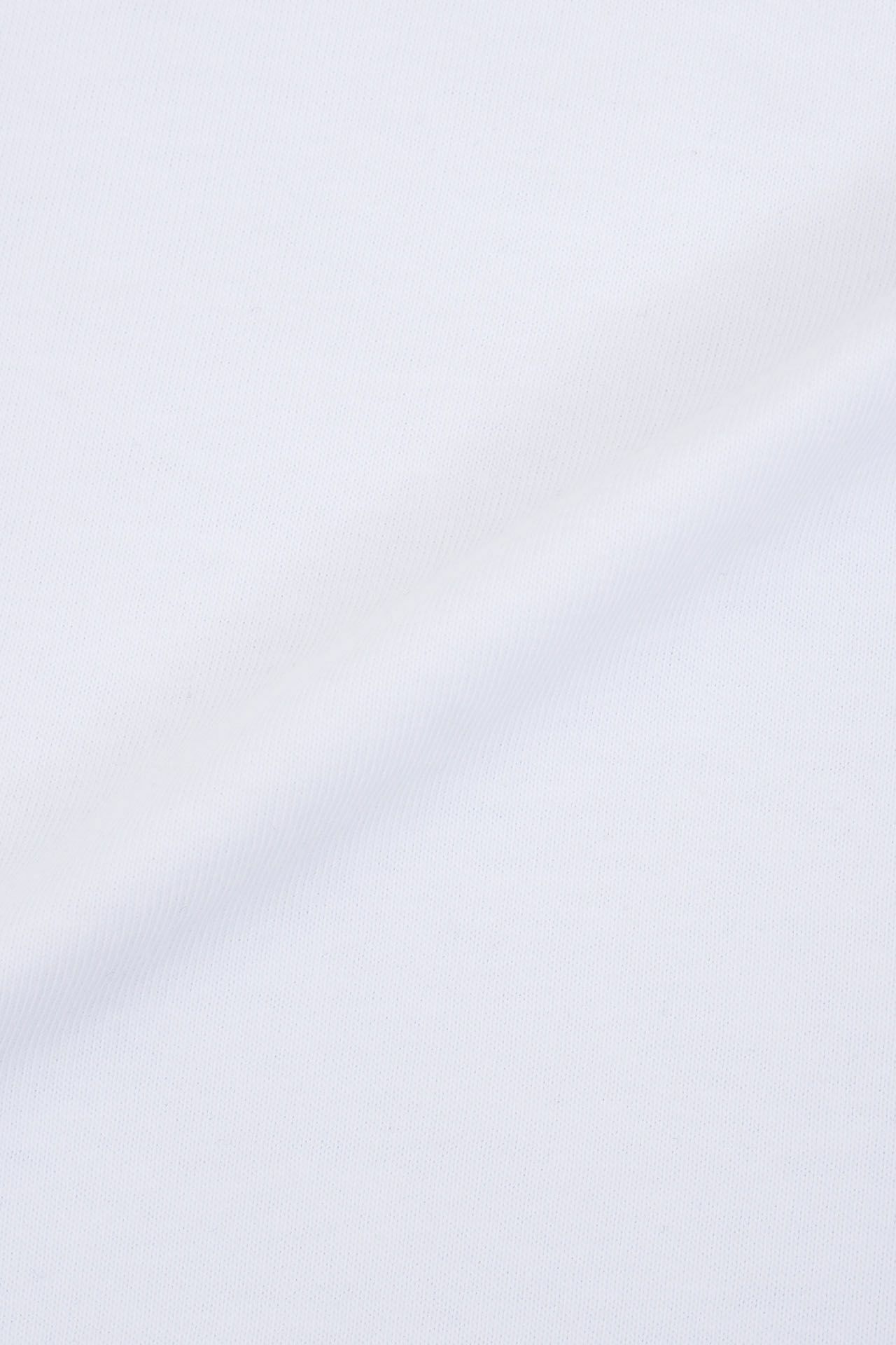 Detail(見本)